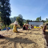 Ethiopia - Taferi Kela