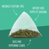 Organic Peppermint Tea - Box of 100