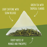 Tropical Green Tea - Box of 100